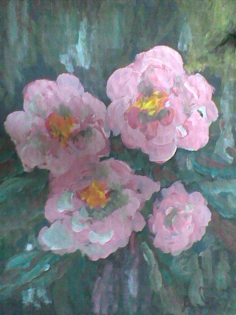 PINK  FLOWERS